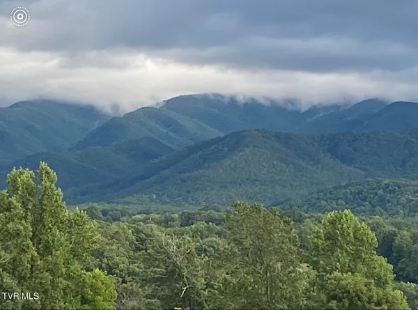 $1,499,800 | 1180 Keller Road, Afton, TN 37616