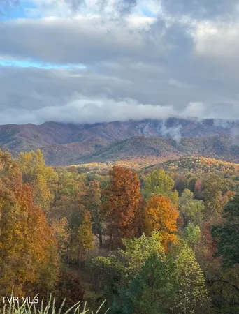 $1,499,800 | 1180 Keller Road, Afton, TN 37616