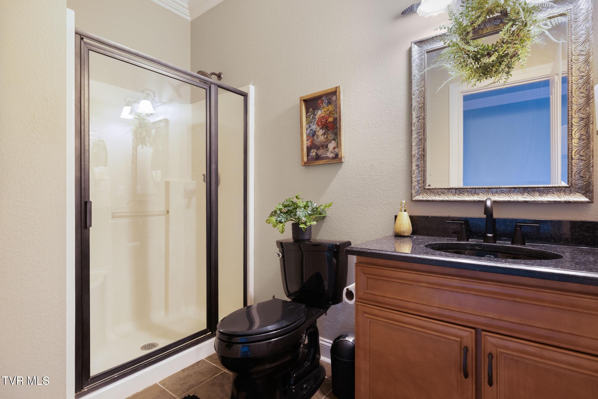 1180 Keller Road Afton, TN 37616 - Photo 40 of 62 Bathroom 4