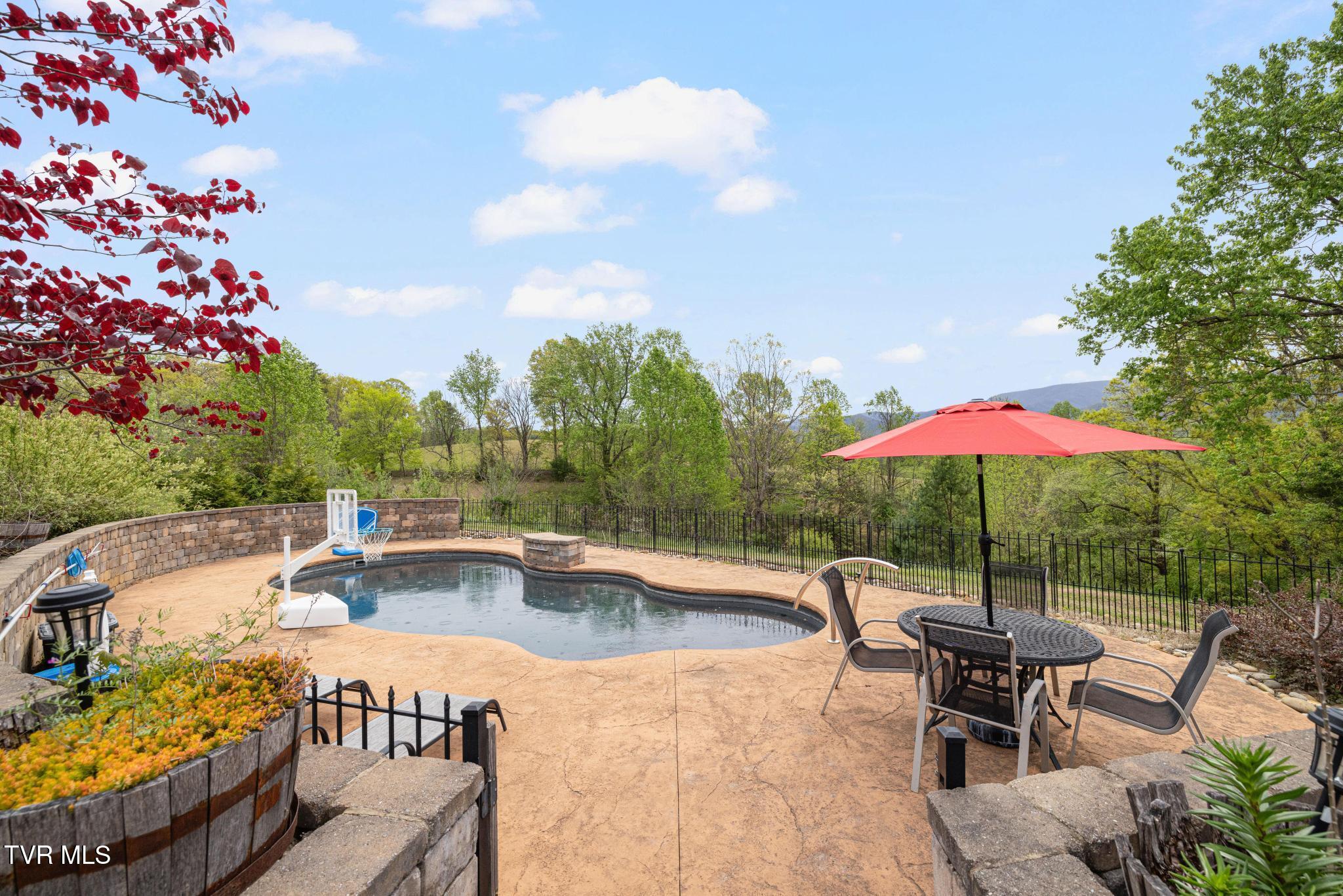 1180 Keller Road Afton, TN 37616 - Photo 51 of 62 Pool