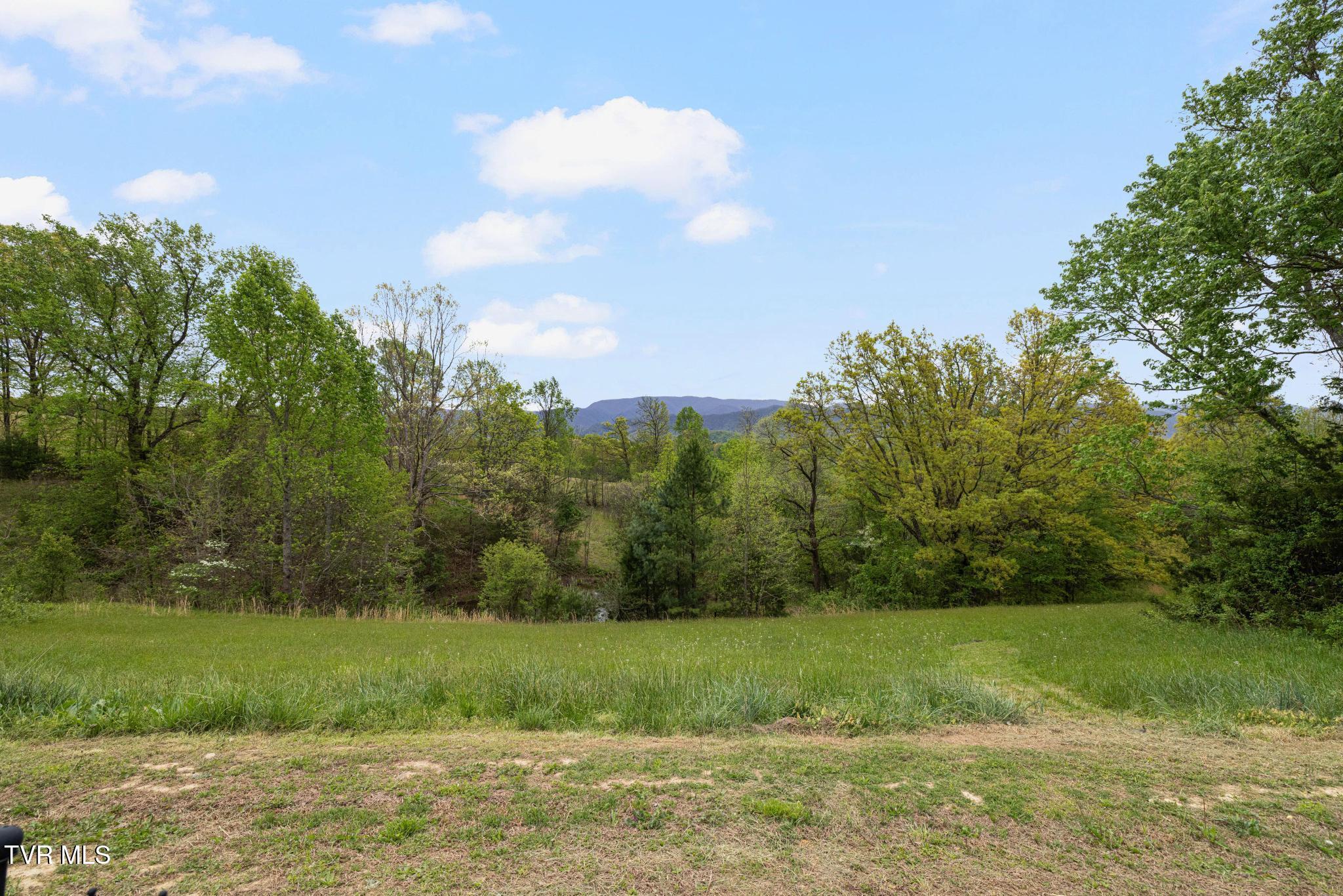 1180 Keller Road Afton, TN 37616 - Photo 57 of 62 Back yard