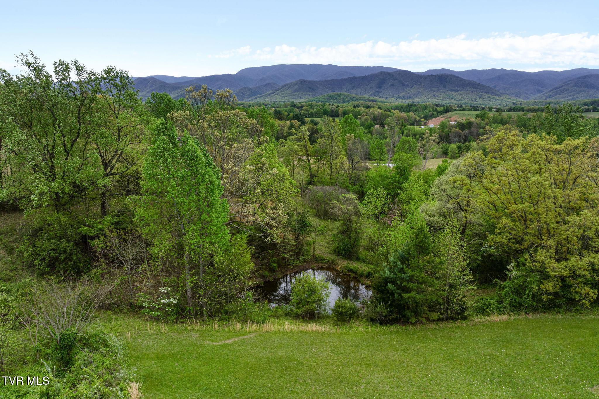1180 Keller Road Afton, TN 37616 - Photo 60 of 62 Pond on property