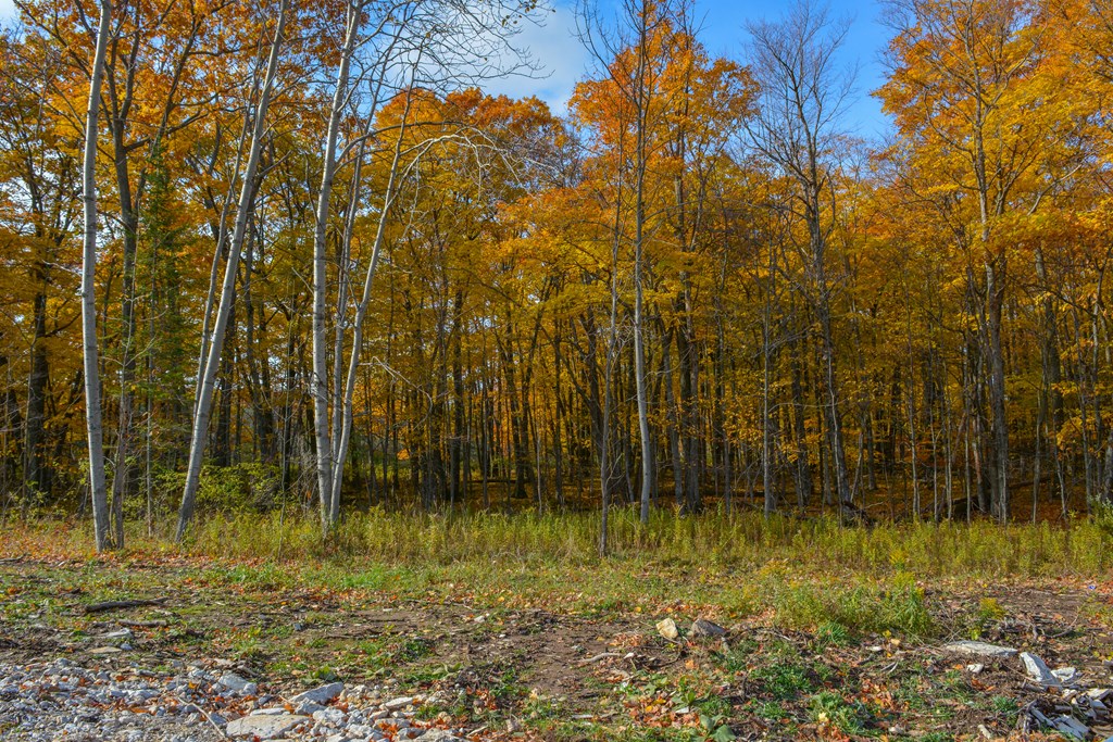 Bluff Lane Fish Creek, WI 54212 - Photo 6 of 9