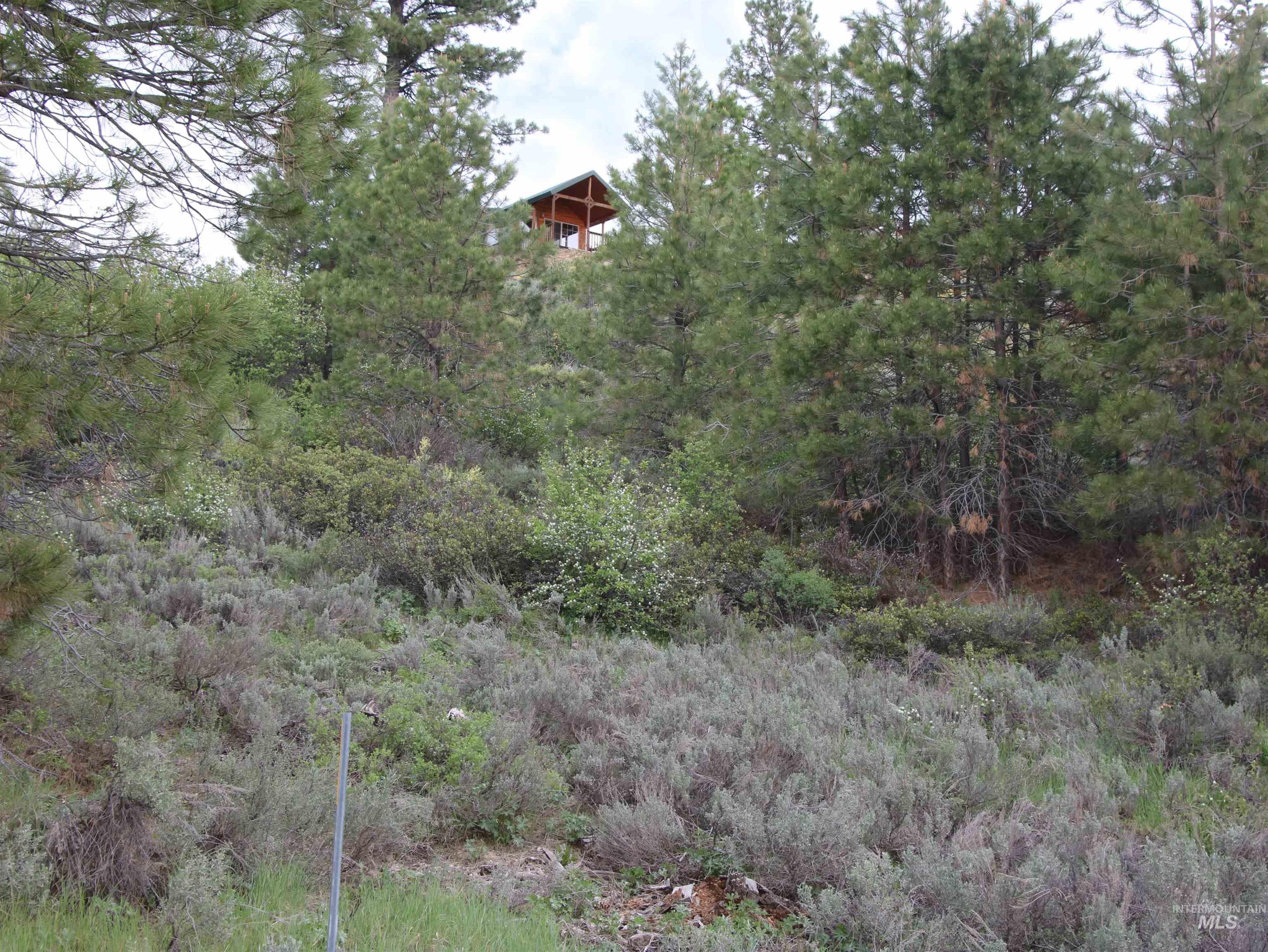 Tbd Strawberry Loop Mountain Home, ID 83647 - Photo 20 of 20