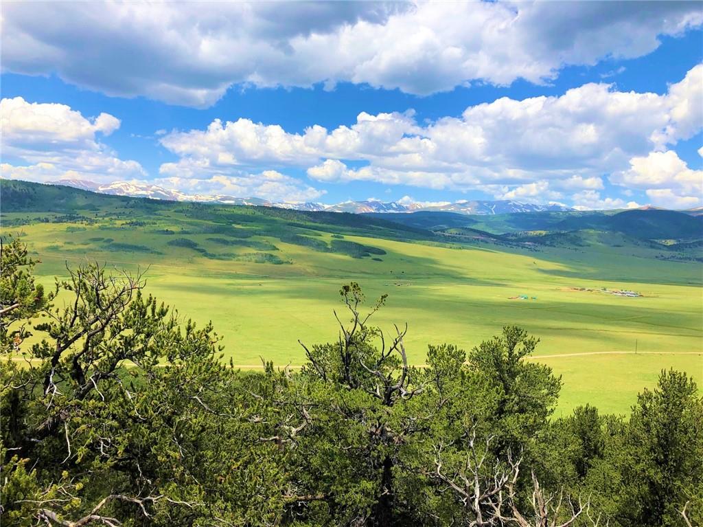 1625 Gap Road Fairplay, CO 80440 - Photo 2 of 26