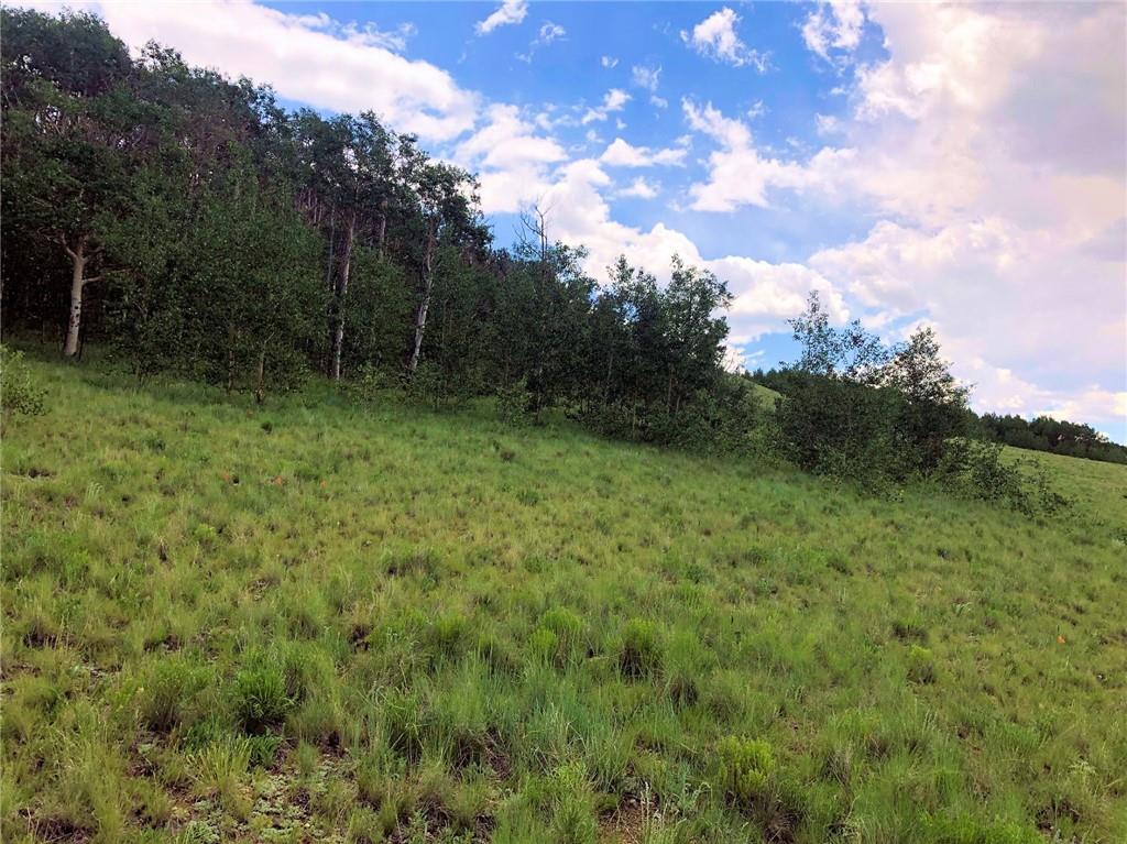 1625 Gap Road Fairplay, CO 80440 - Photo 13 of 26