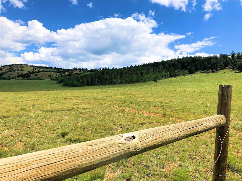 1625 Gap Road Fairplay, CO 80440 - Photo 14 of 26