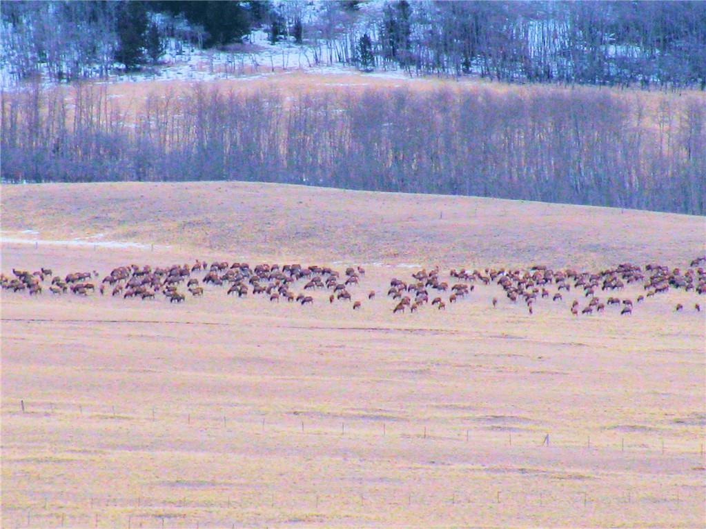 1625 Gap Road Fairplay, CO 80440 - Photo 3 of 26