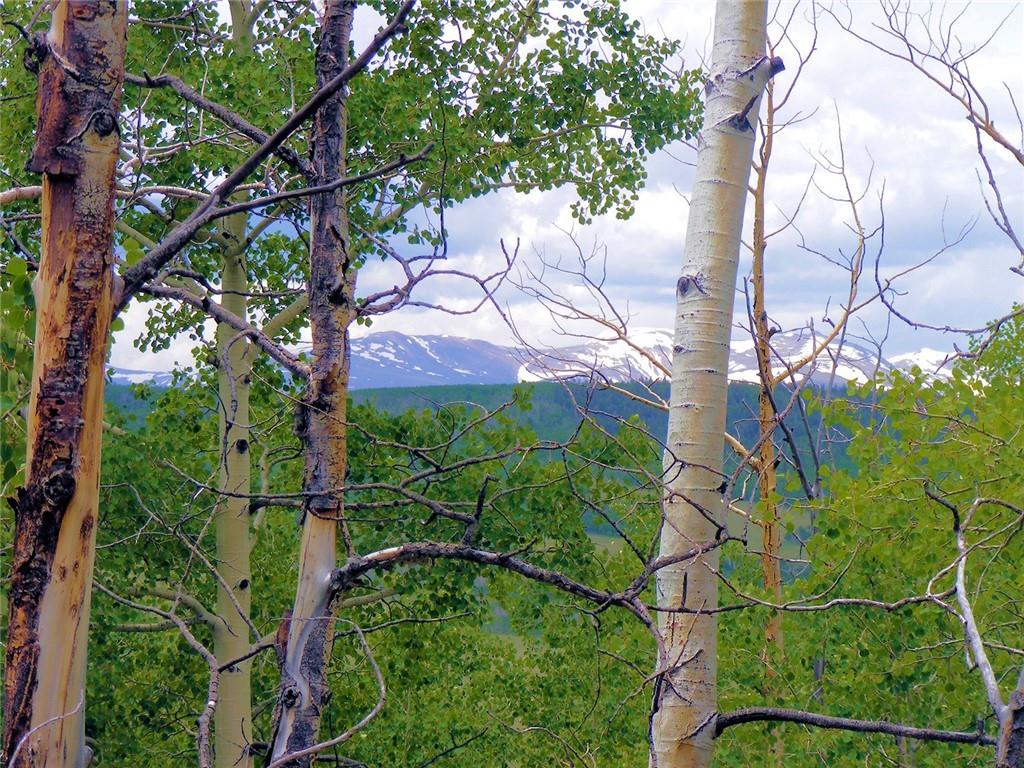 1625 Gap Road Fairplay, CO 80440 - Photo 7 of 26