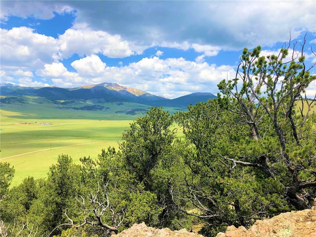 1625 Gap Road Fairplay, CO 80440 - Photo 8 of 26