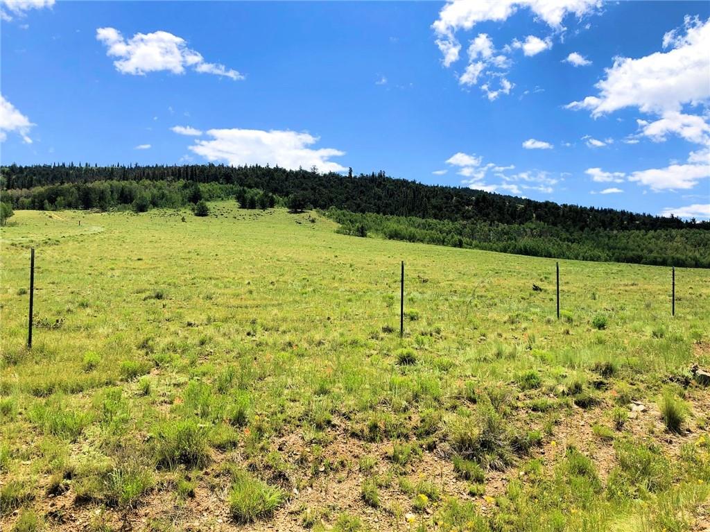 1625 Gap Road Fairplay, CO 80440 - Photo 10 of 26