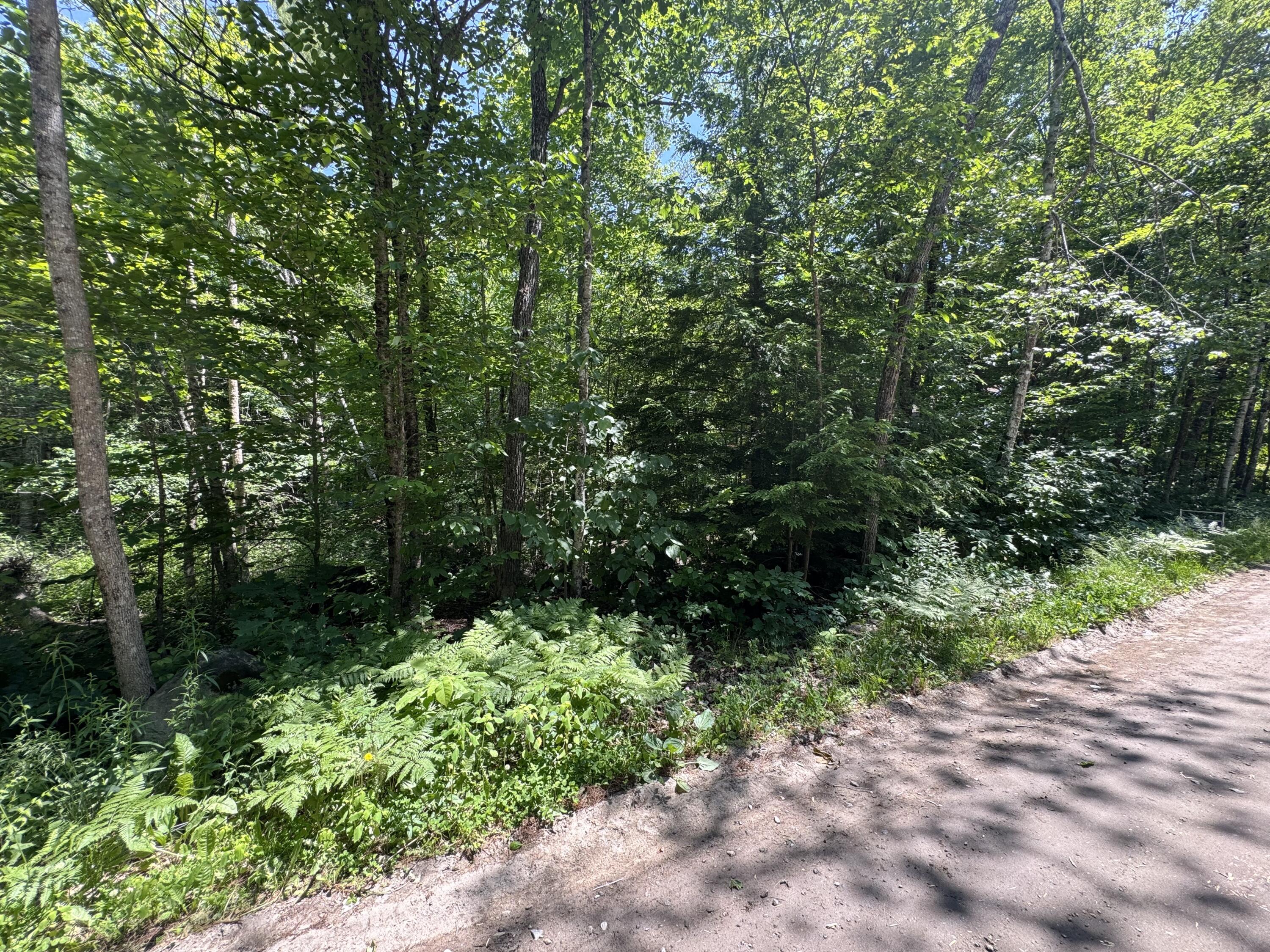 Lot 19 Thomas Pond Shore Road Casco, ME 04015 - Photo 5 of 9