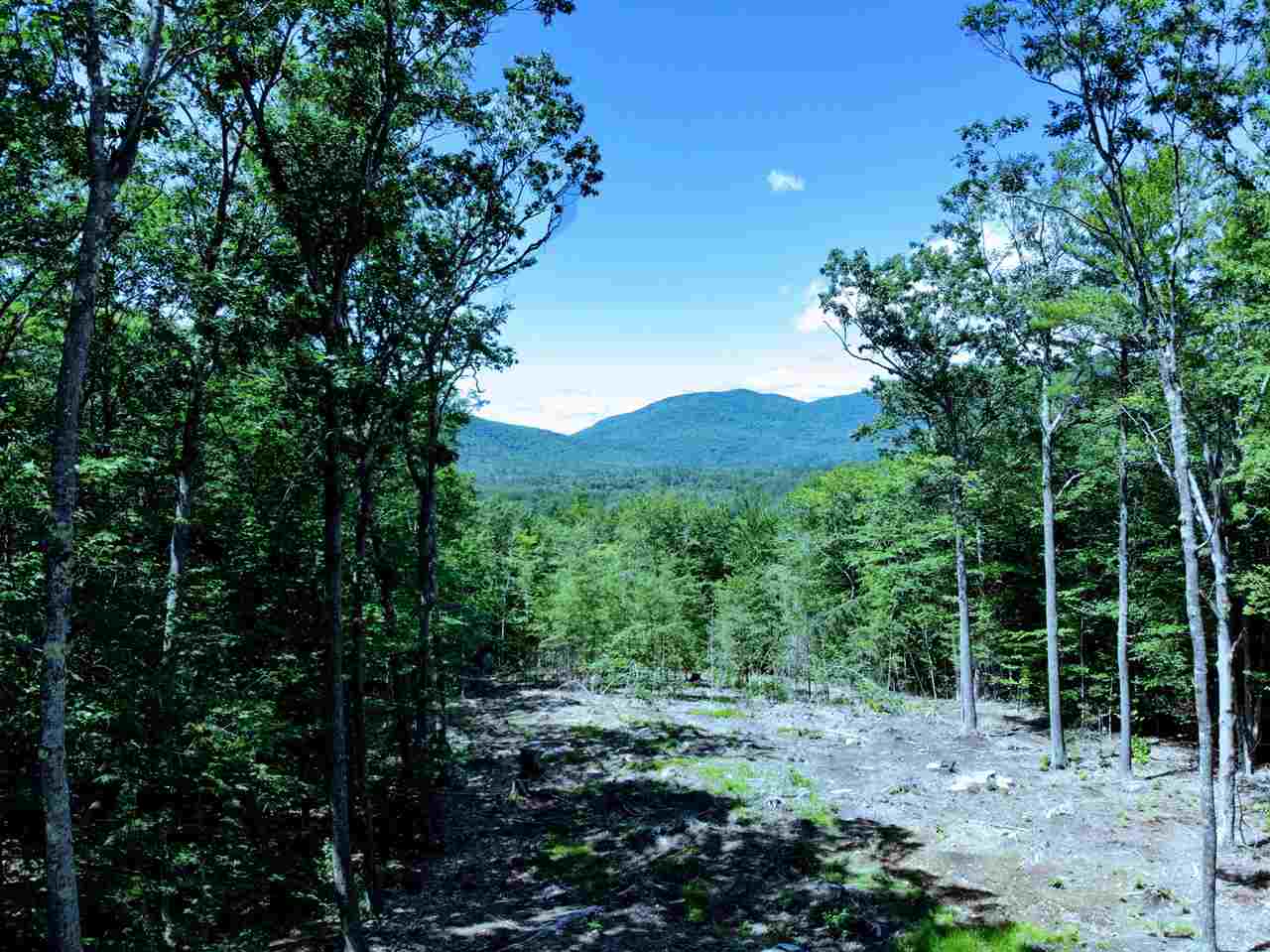 15 J Buzzell Ridge Road, Unit 9 Sandwich, NH 03227 - Photo 1 of 40