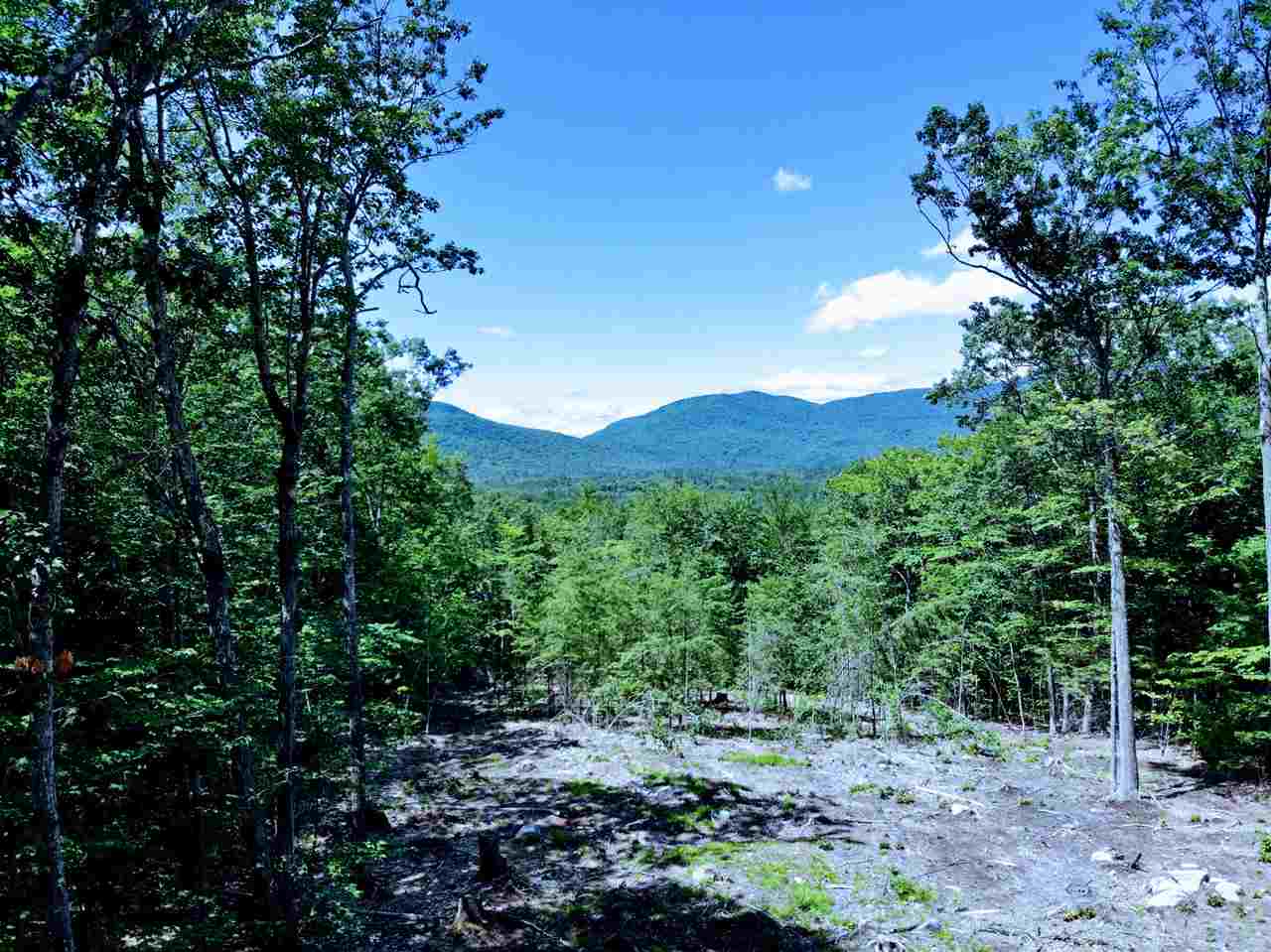 15 J Buzzell Ridge Road, Unit 9 Sandwich, NH 03227 - Photo 2 of 40