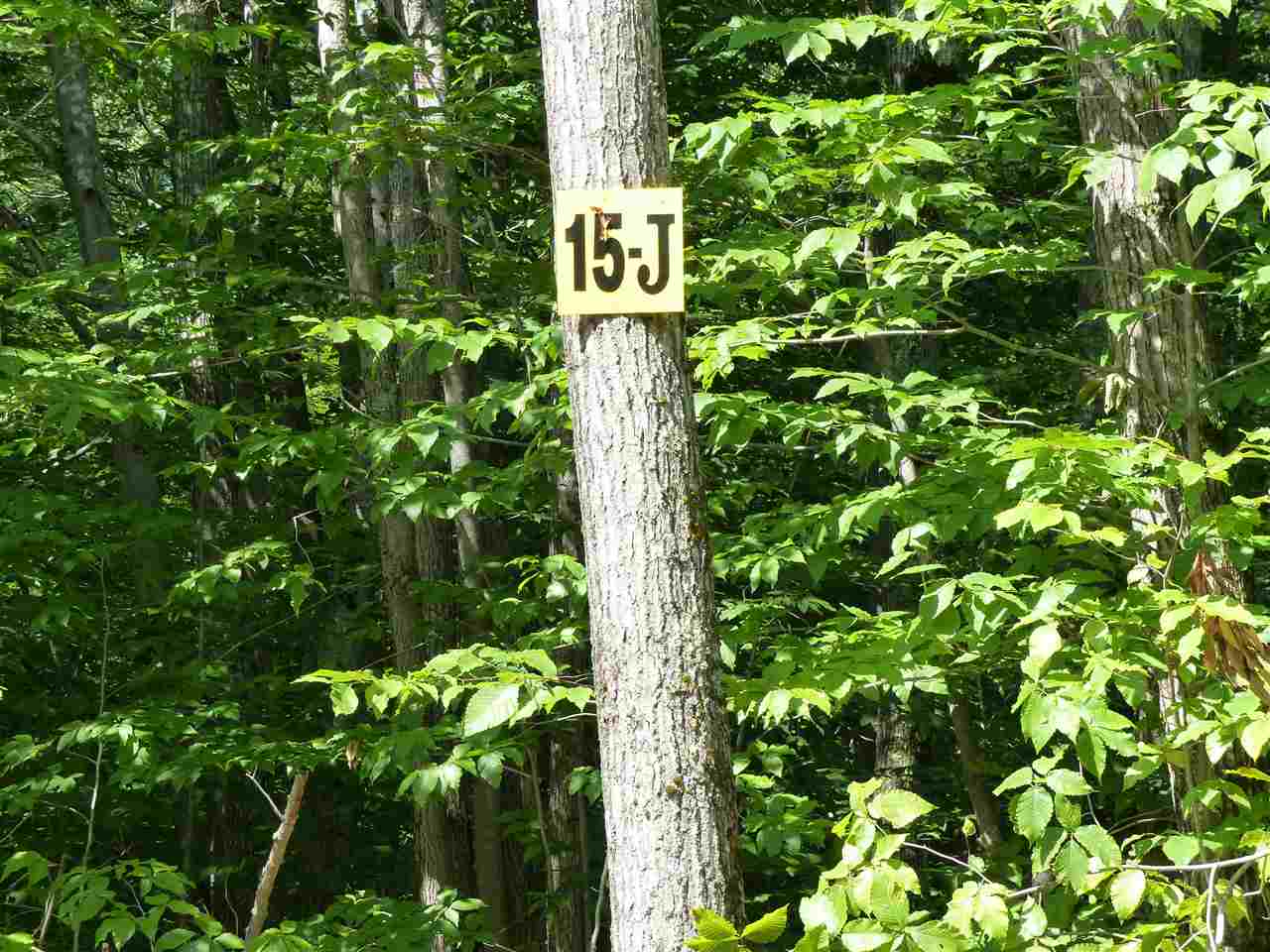 15 J Buzzell Ridge Road, Unit 9 Sandwich, NH 03227 - Photo 13 of 40