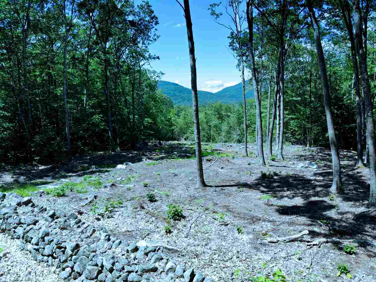 15 J Buzzell Ridge Road, Unit 9 Sandwich, NH 03227 - Photo 4 of 40