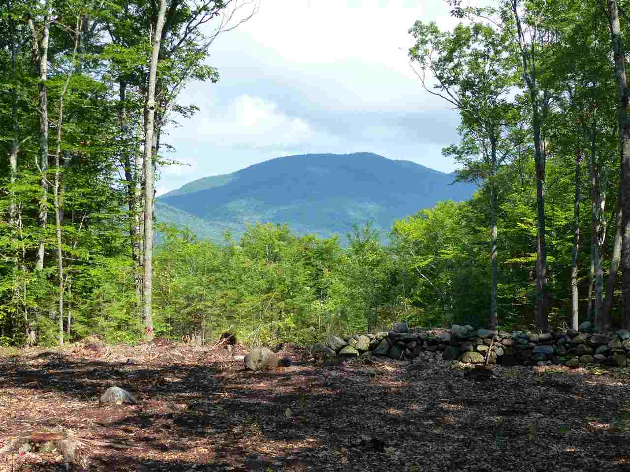 15 J Buzzell Ridge Road, Unit 9 Sandwich, NH 03227 - Photo 5 of 40