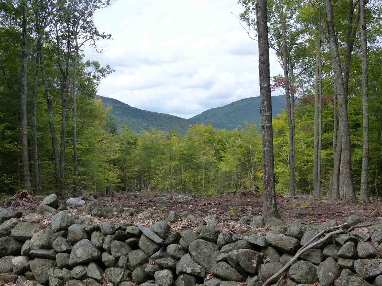 15 J Buzzell Ridge Road, Unit 9 Sandwich, NH 03227 - Photo 6 of 40