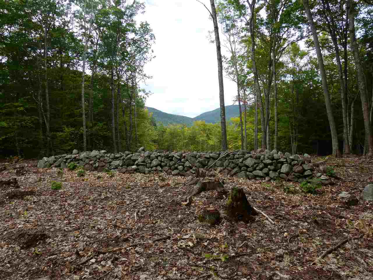 15 J Buzzell Ridge Road, Unit 9 Sandwich, NH 03227 - Photo 7 of 40