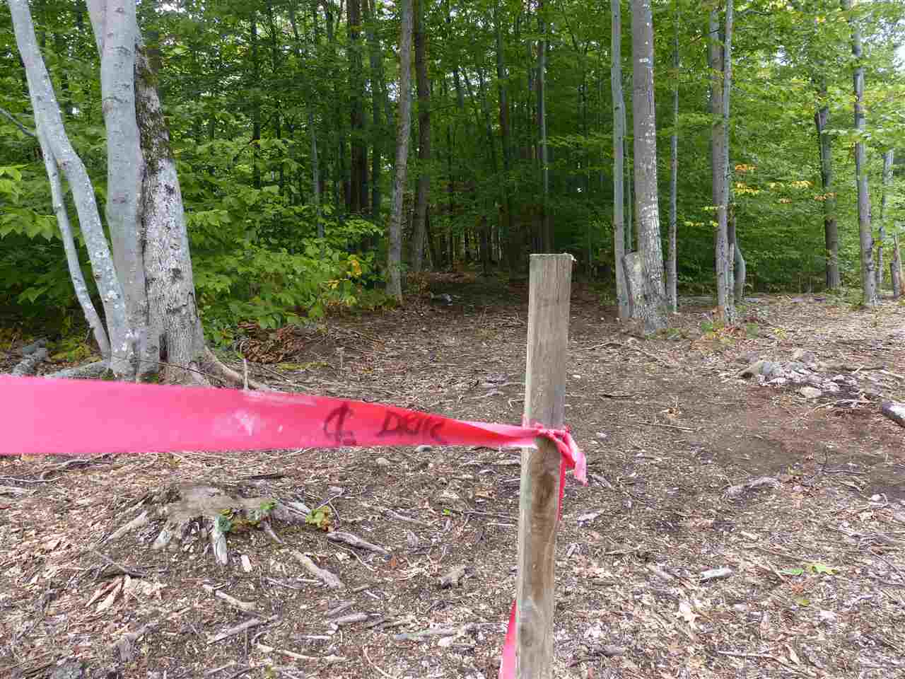 15 J Buzzell Ridge Road, Unit 9 Sandwich, NH 03227 - Photo 9 of 40
