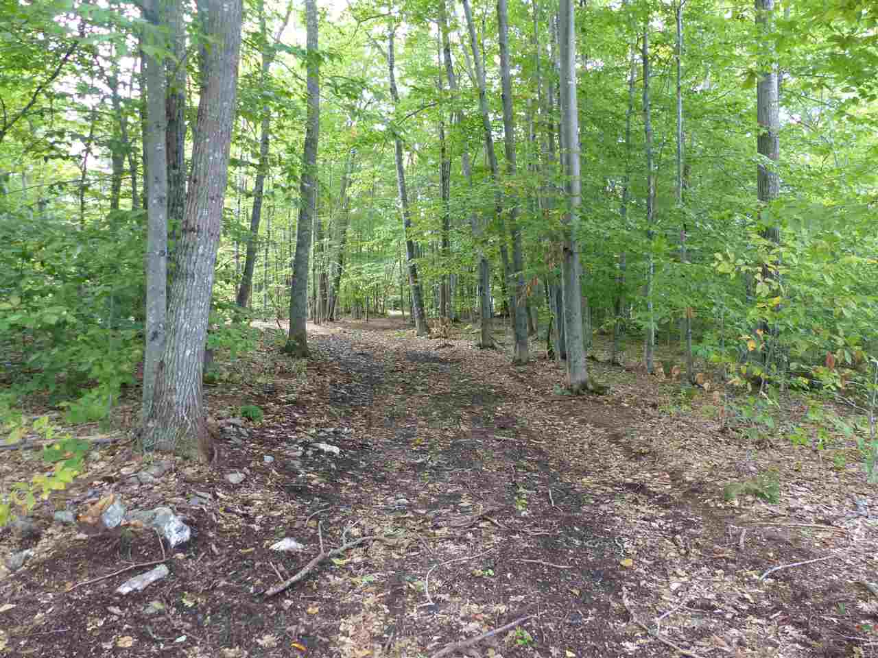 15 J Buzzell Ridge Road, Unit 9 Sandwich, NH 03227 - Photo 10 of 40