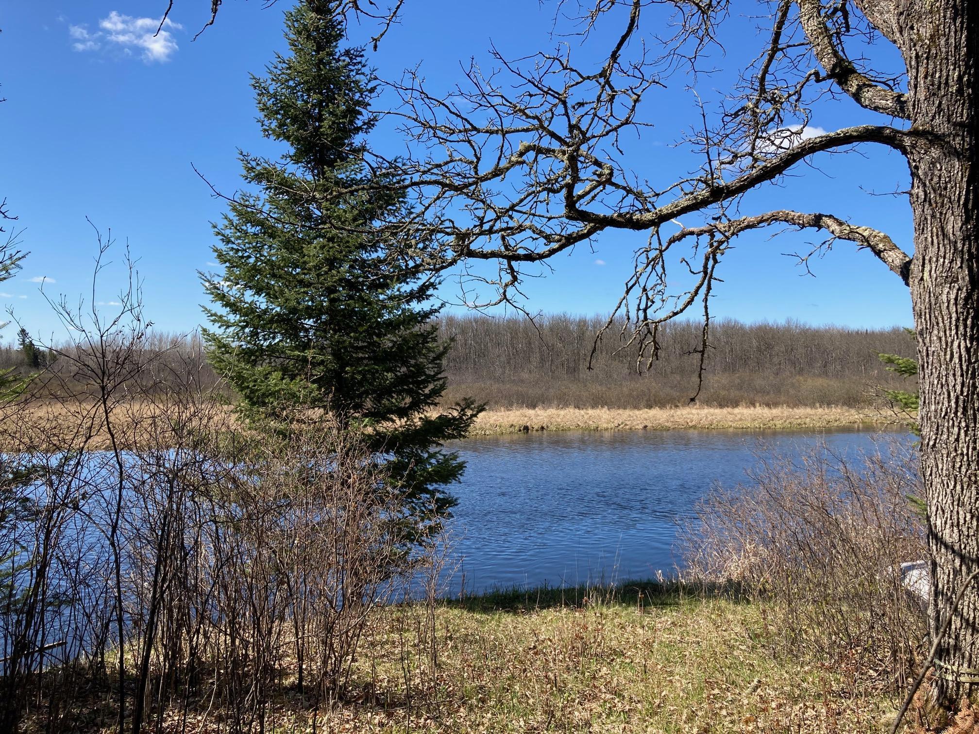 Tbd Riise Road Buyck, MN 55771 - Photo 1 of 1 Gallery Image 1