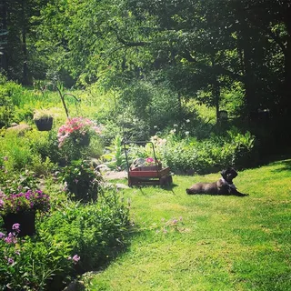 a view of an outdoor space