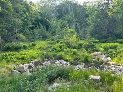 a view of a house with a lush green forest
