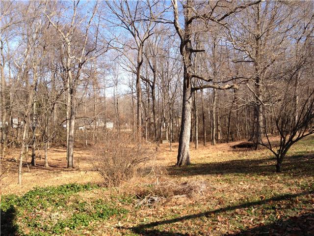 4451 Washington Road Greenbrier, TN 37073 - Photo 14 of 18 Backyard
