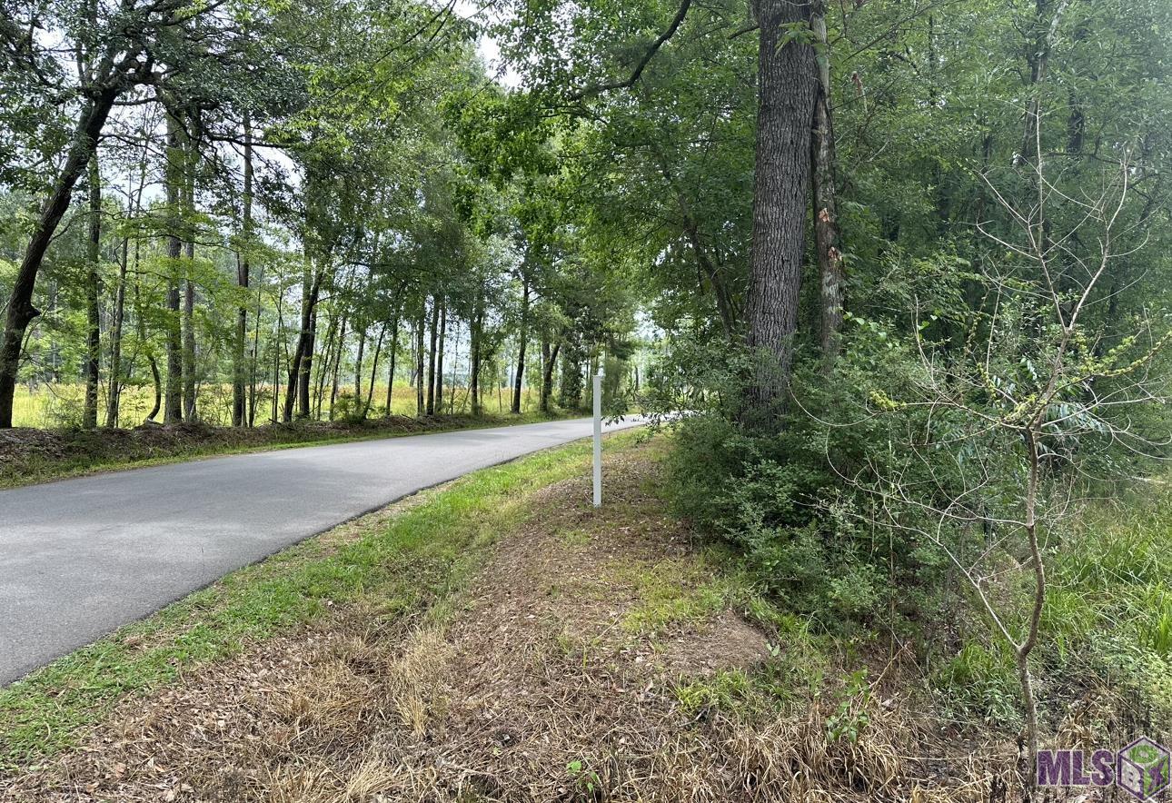 Lot 32 Nesom Road Denham Springs, LA 70706 - Photo 1 of 3 Gallery Image 1