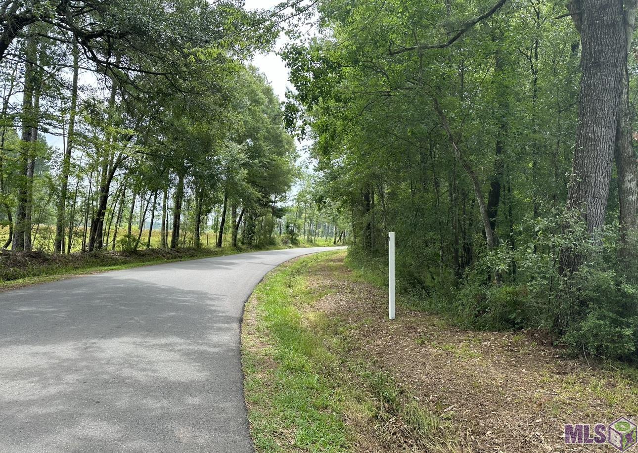 Lot 32 Nesom Road Denham Springs, LA 70706 - Photo 2 of 3 Gallery Image 2