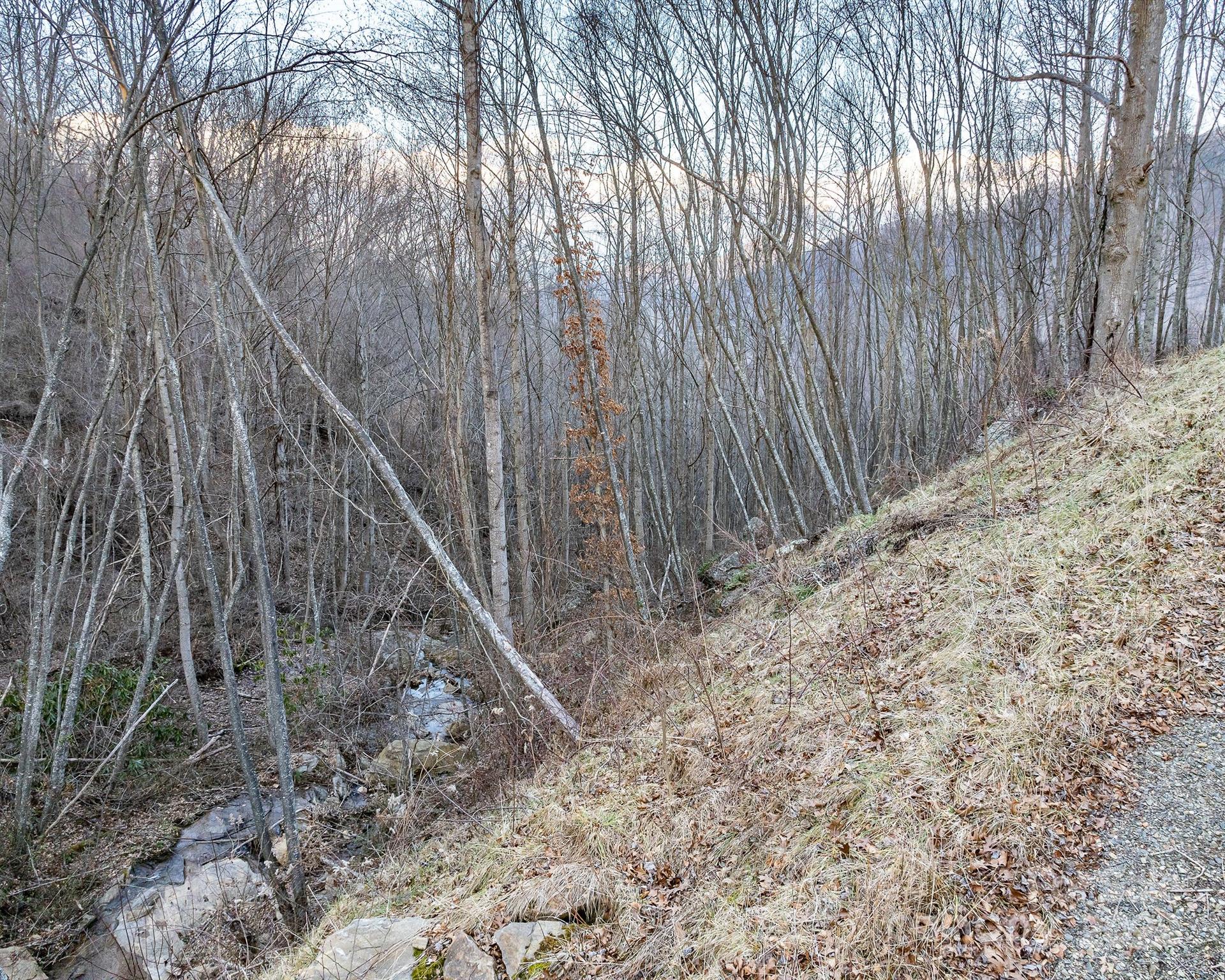 1851 Newfound Road Leicester, NC 28748 - Photo 15 of 32 Gallery Image 15