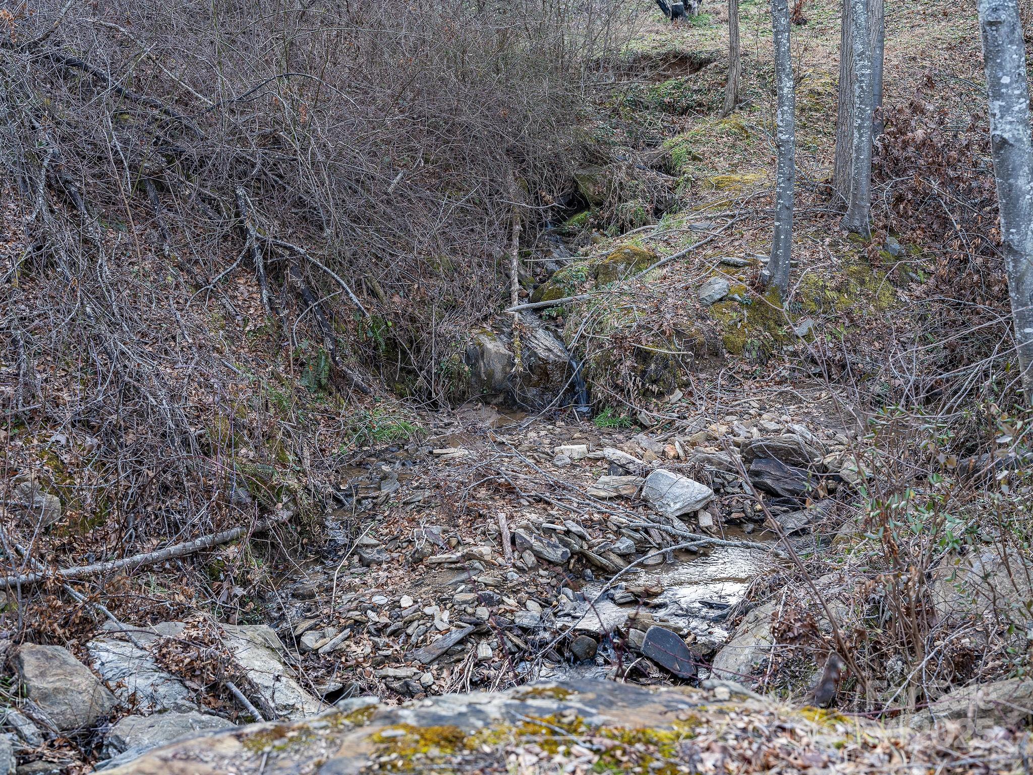 1851 Newfound Road Leicester, NC 28748 - Photo 23 of 32 Gallery Image 23