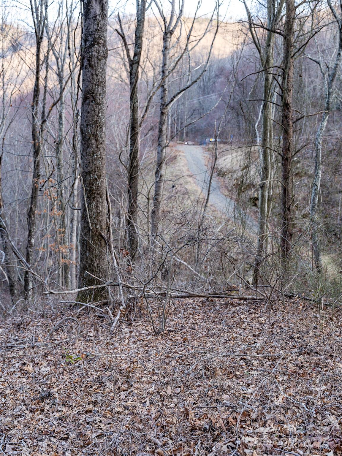 1851 Newfound Road Leicester, NC 28748 - Photo 26 of 32 Gallery Image 26