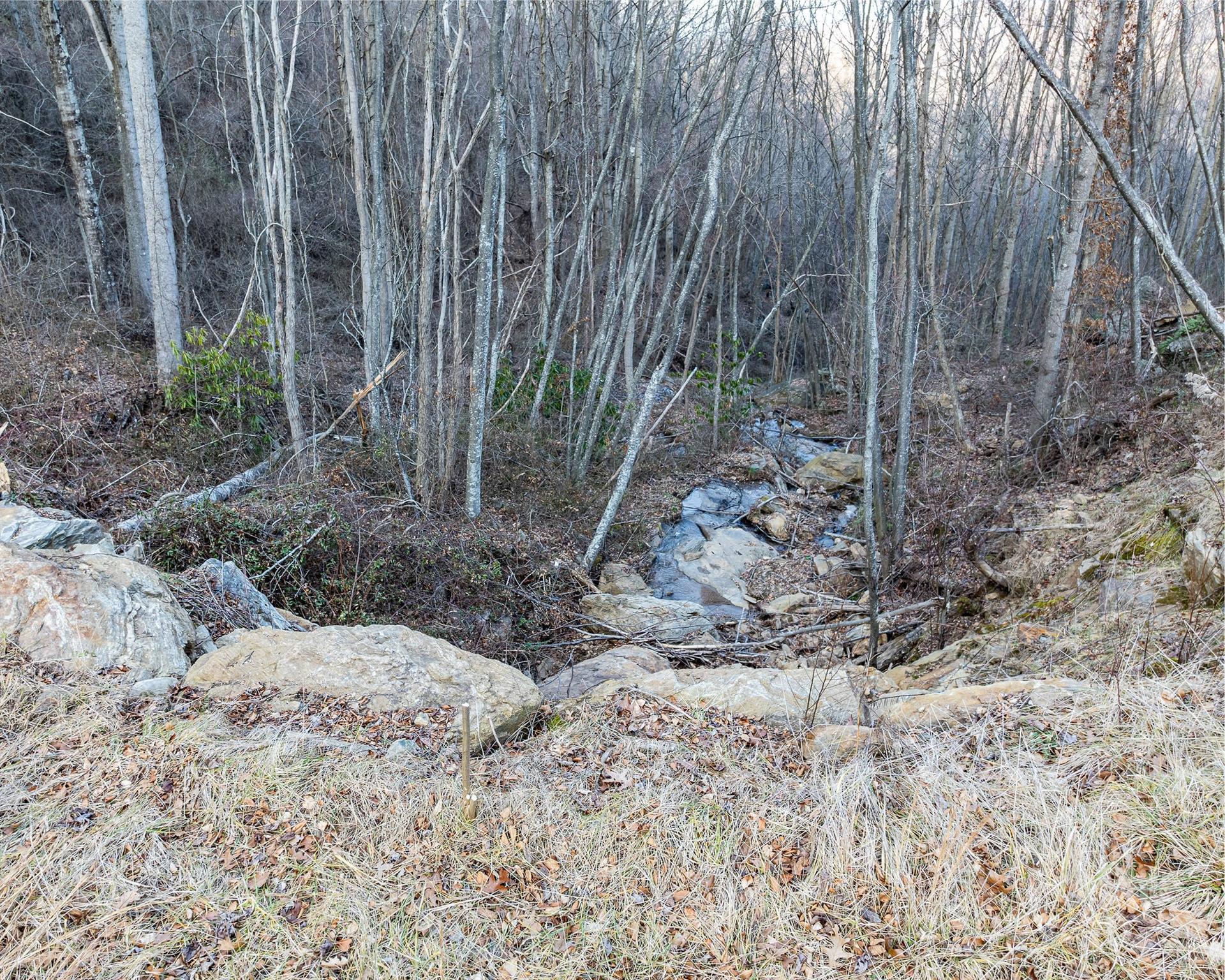 1851 Newfound Road Leicester, NC 28748 - Photo 7 of 32 Gallery Image 7