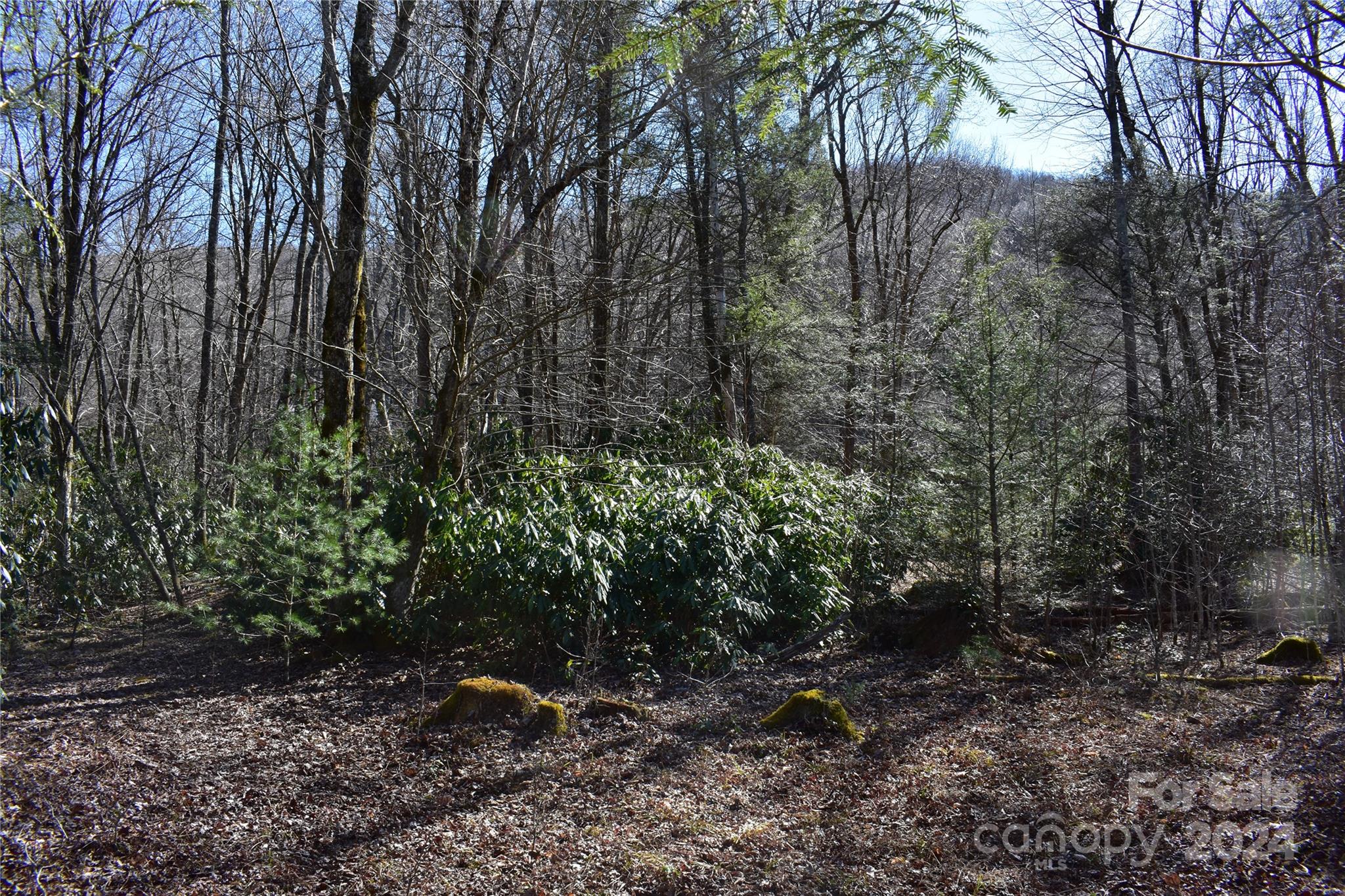 Tbd V L Moretz Road Deep Gap, NC 28618 - Photo 12 of 24