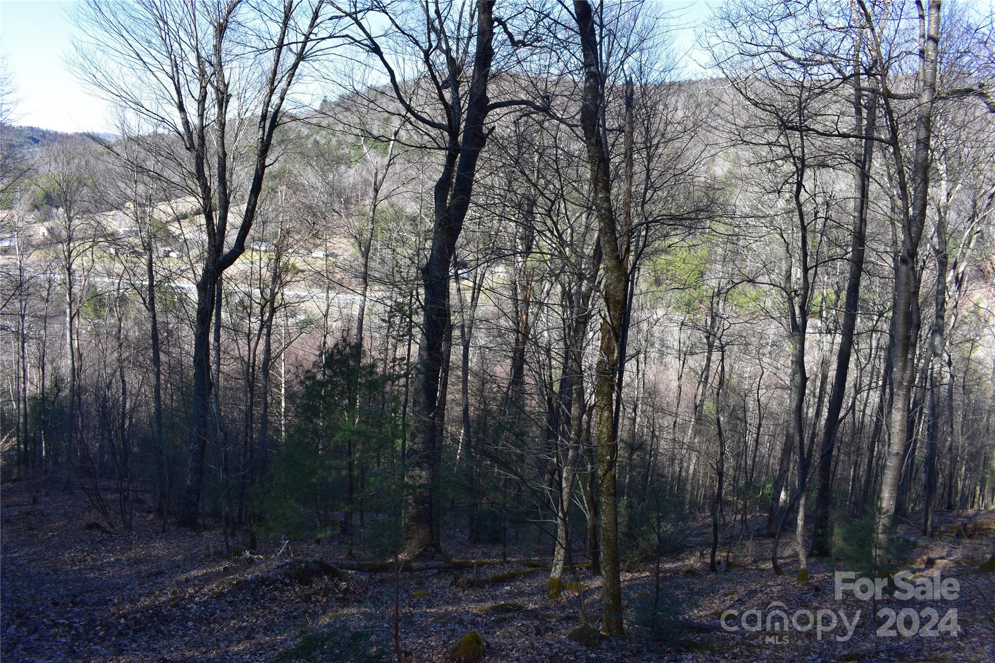 Tbd V L Moretz Road Deep Gap, NC 28618 - Photo 13 of 24
