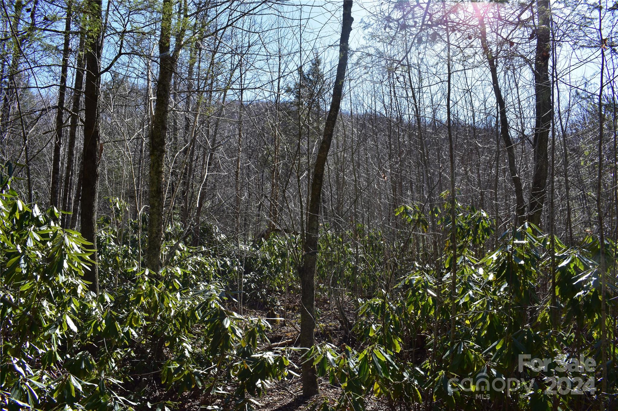 Tbd V L Moretz Road Deep Gap, NC 28618 - Photo 14 of 24