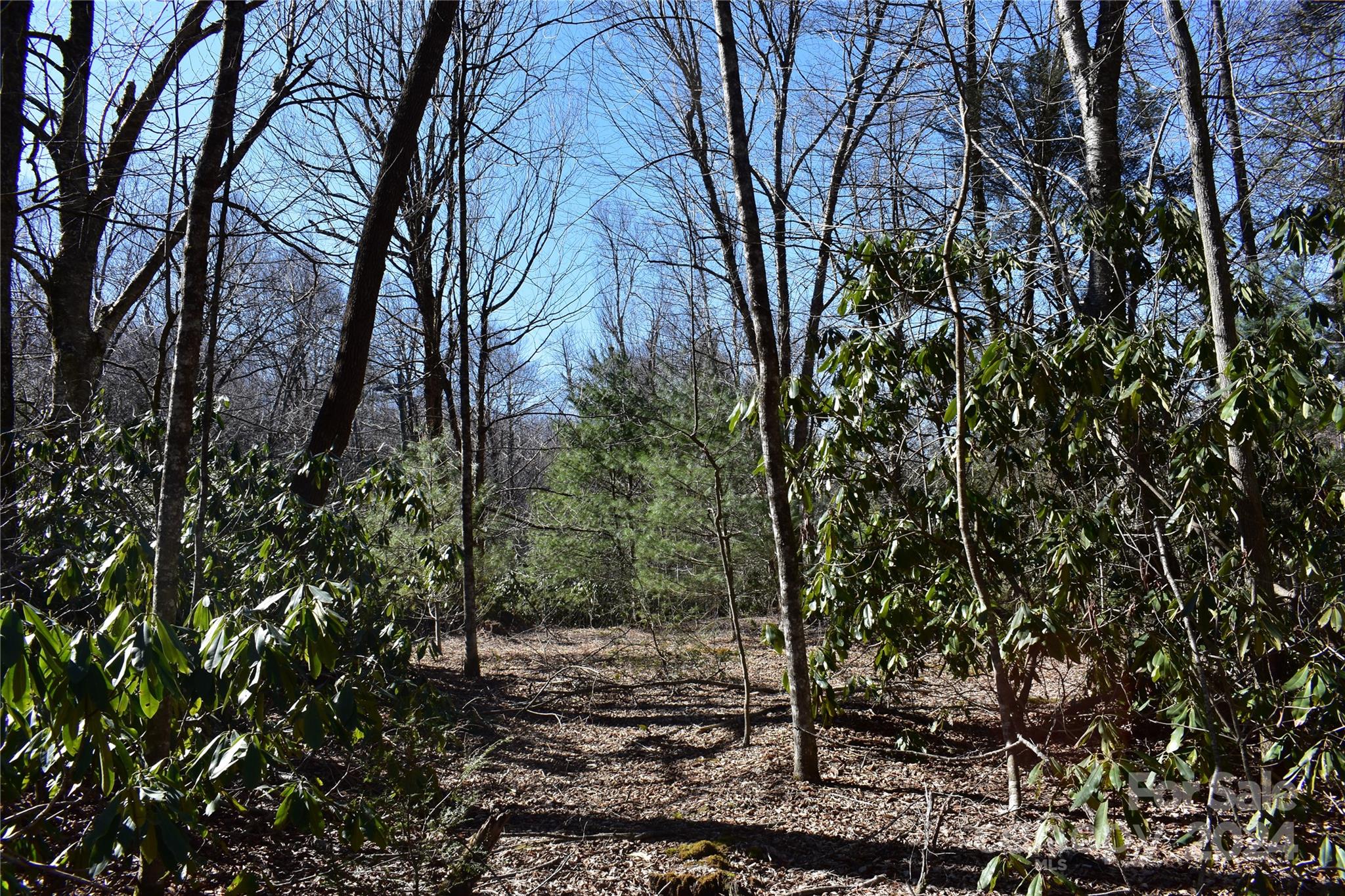 Tbd V L Moretz Road Deep Gap, NC 28618 - Photo 15 of 24
