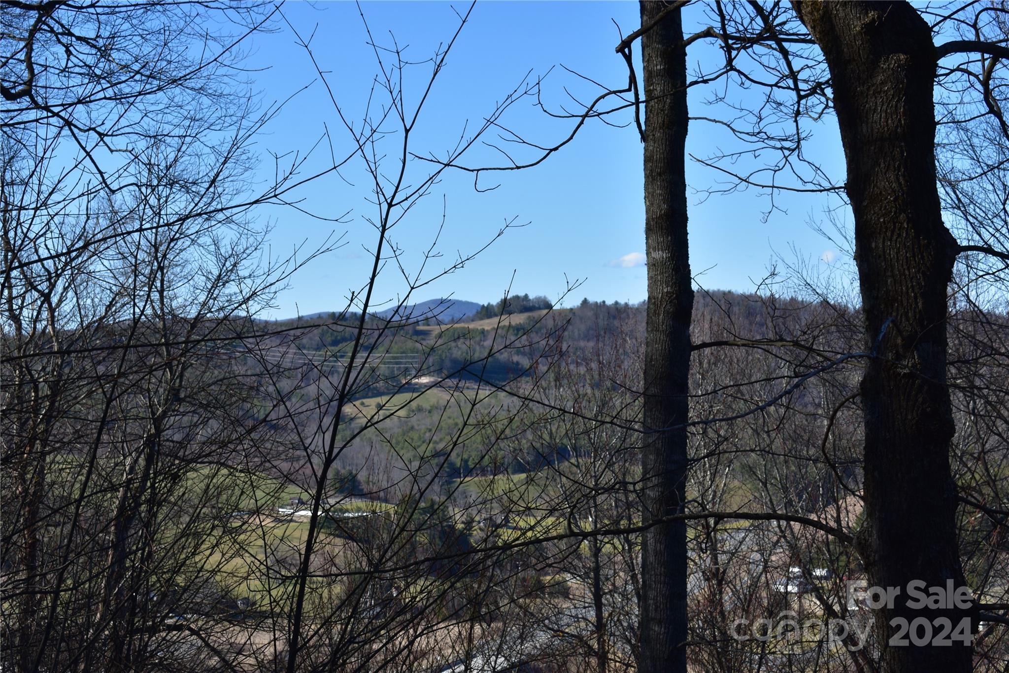 Tbd V L Moretz Road Deep Gap, NC 28618 - Photo 16 of 24