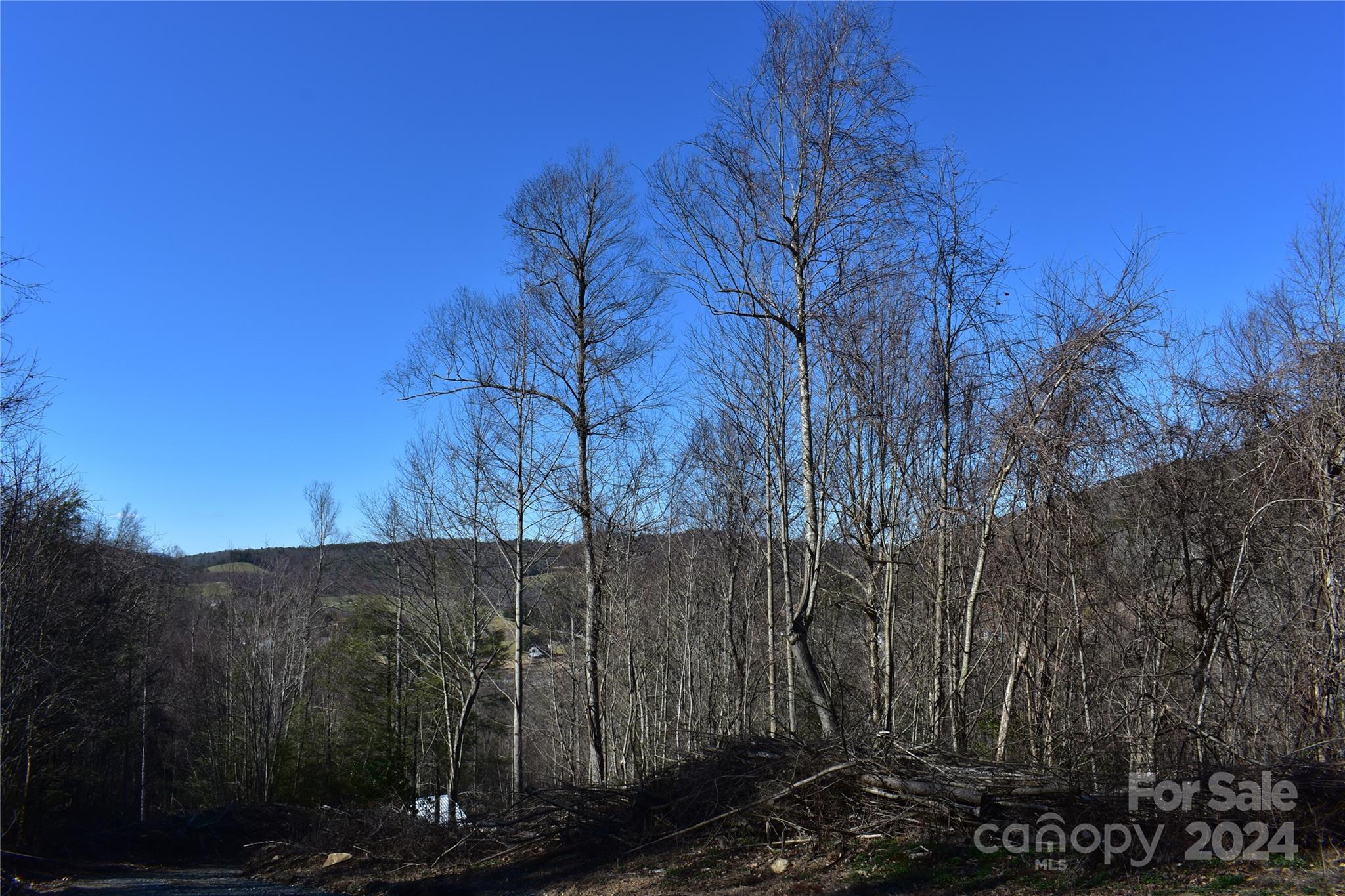 Tbd V L Moretz Road Deep Gap, NC 28618 - Photo 18 of 24