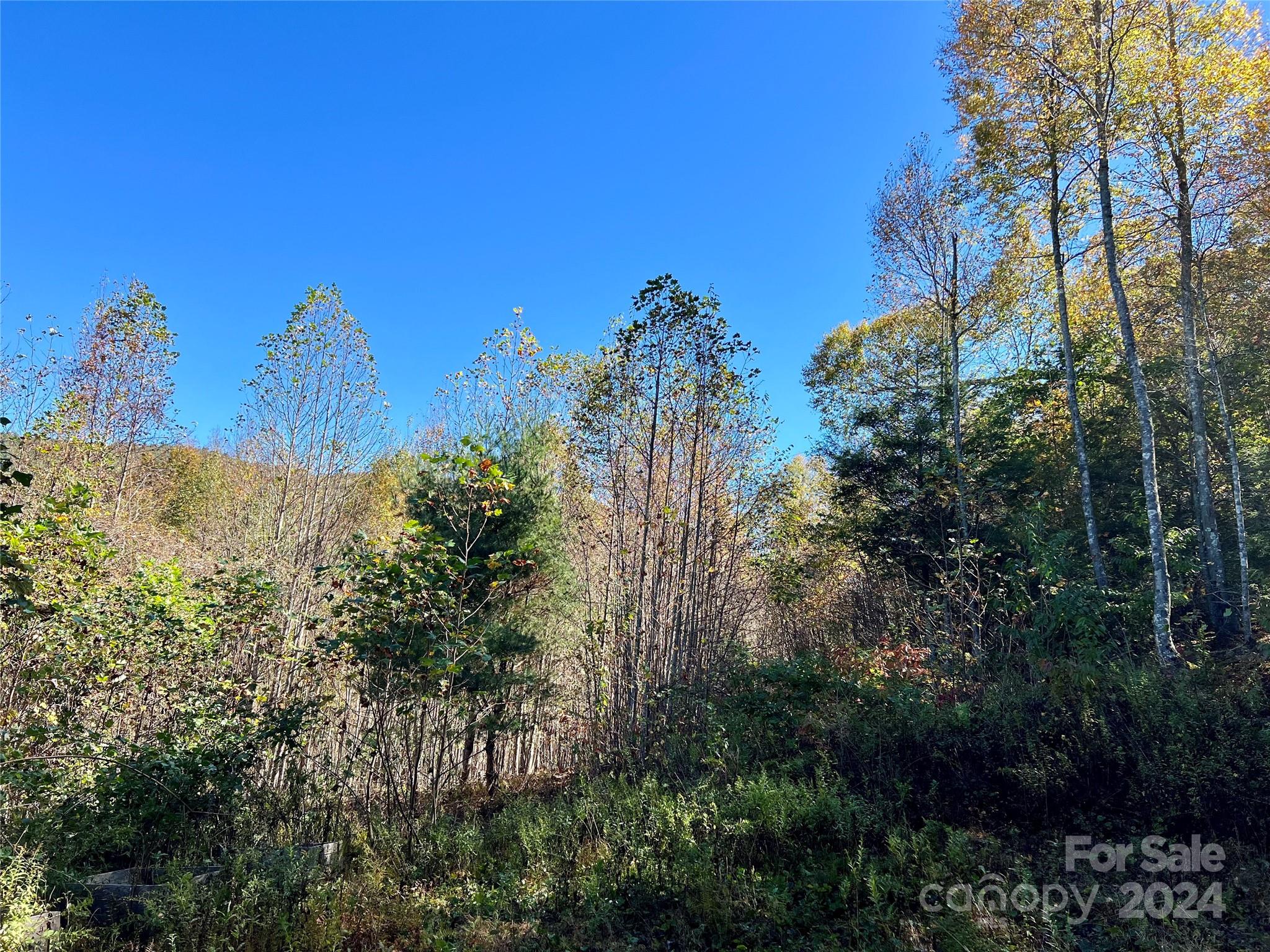 Tbd V L Moretz Road Deep Gap, NC 28618 - Photo 21 of 24