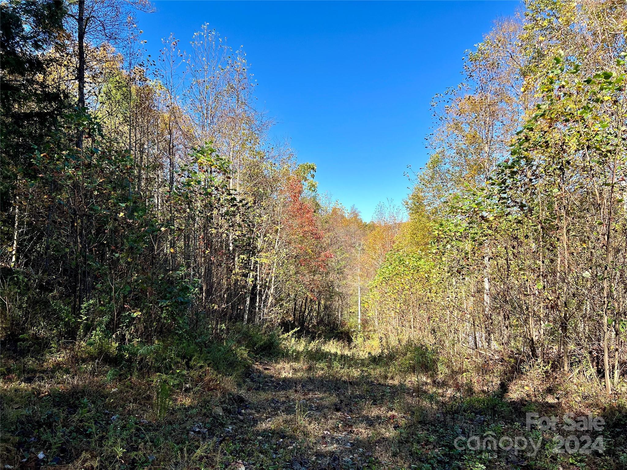 Tbd V L Moretz Road Deep Gap, NC 28618 - Photo 22 of 24