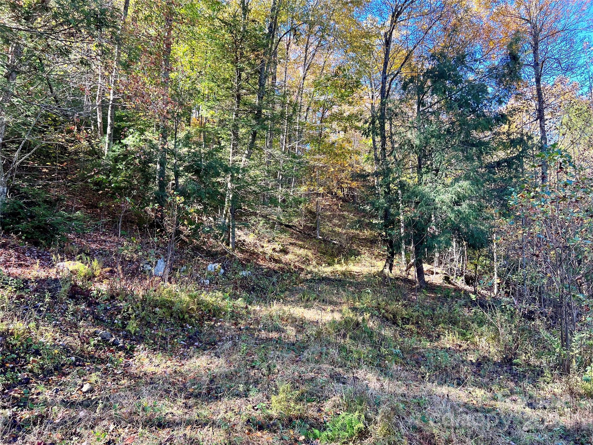 Tbd V L Moretz Road Deep Gap, NC 28618 - Photo 23 of 24