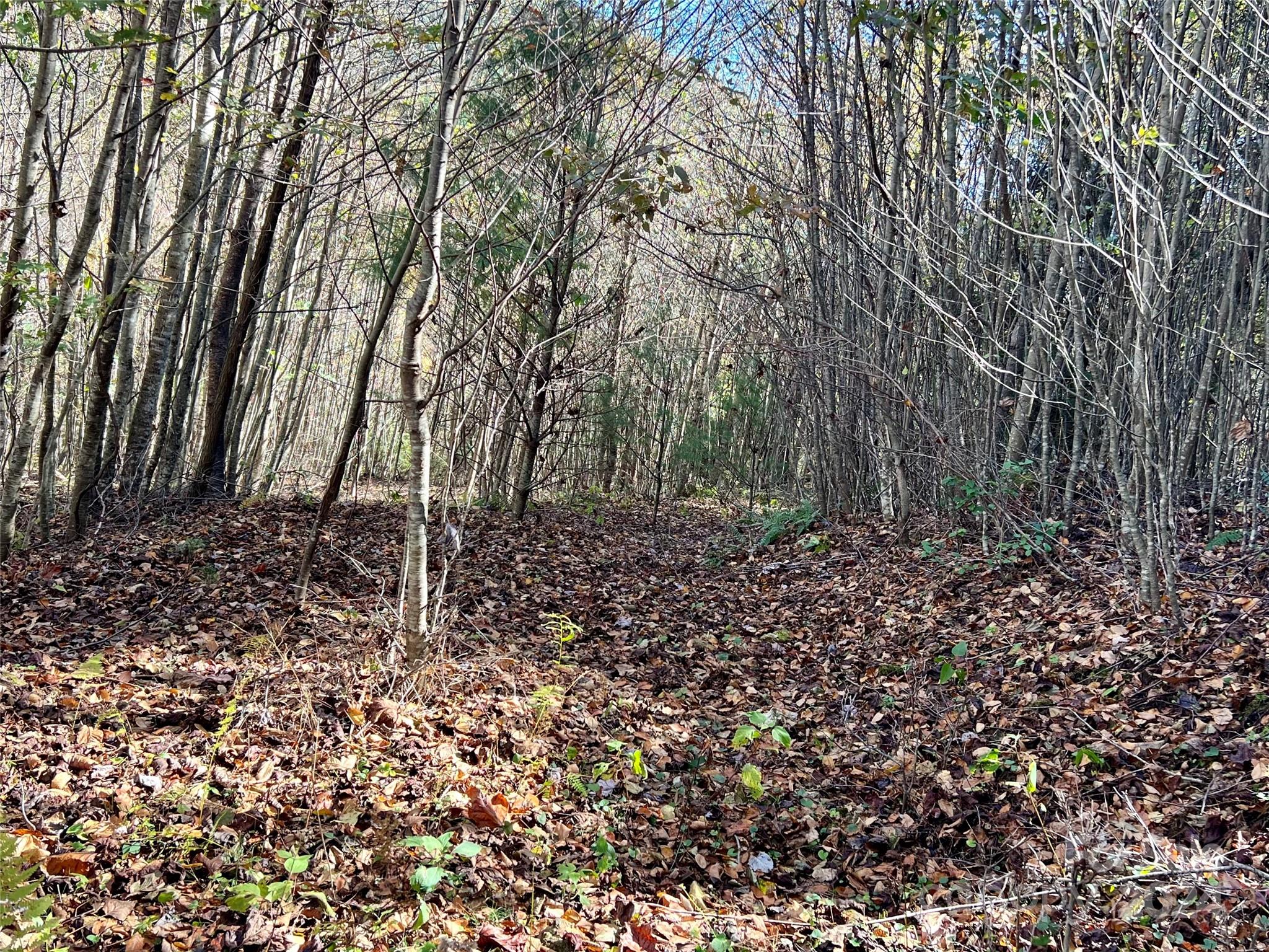 Tbd V L Moretz Road Deep Gap, NC 28618 - Photo 24 of 24