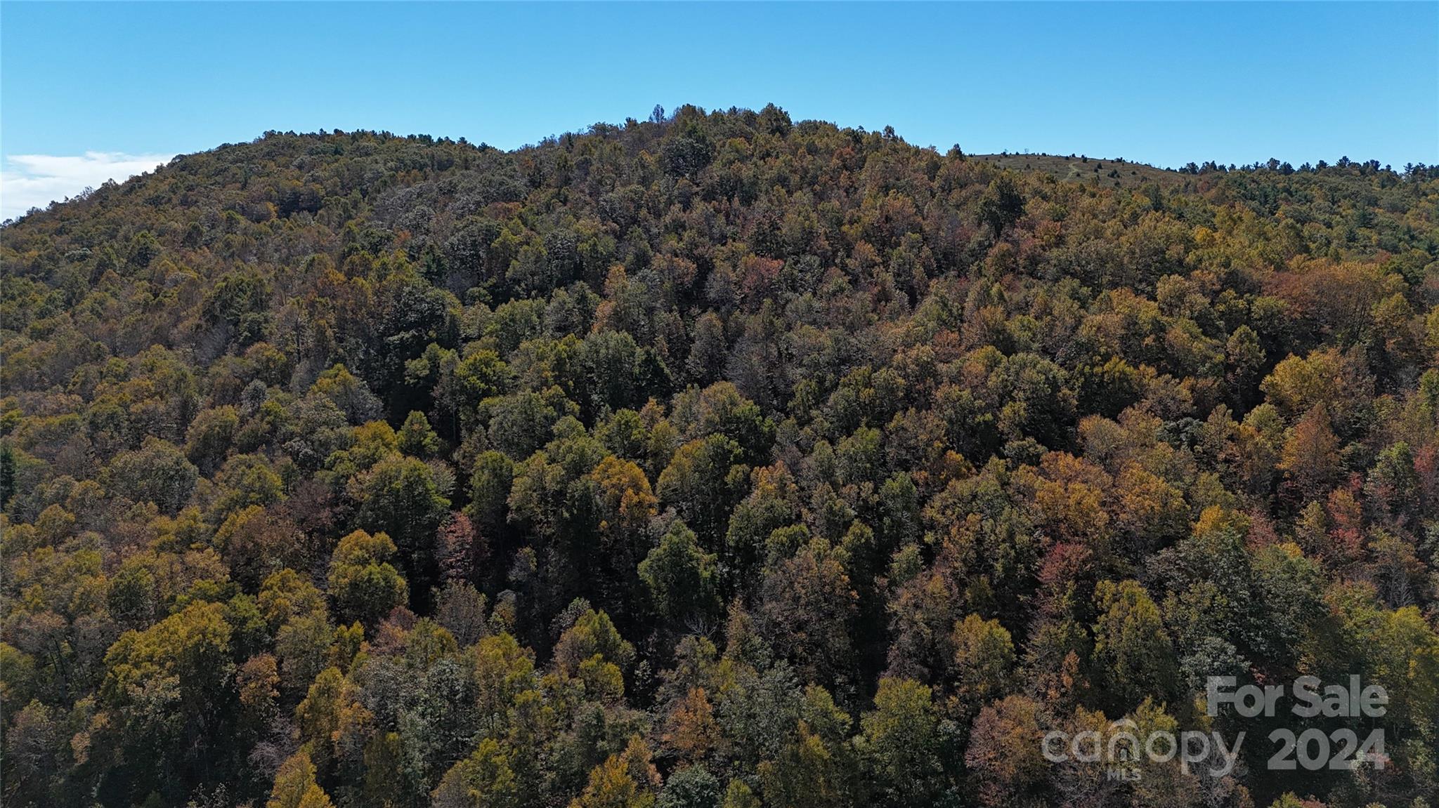 Tbd V L Moretz Road Deep Gap, NC 28618 - Photo 3 of 24