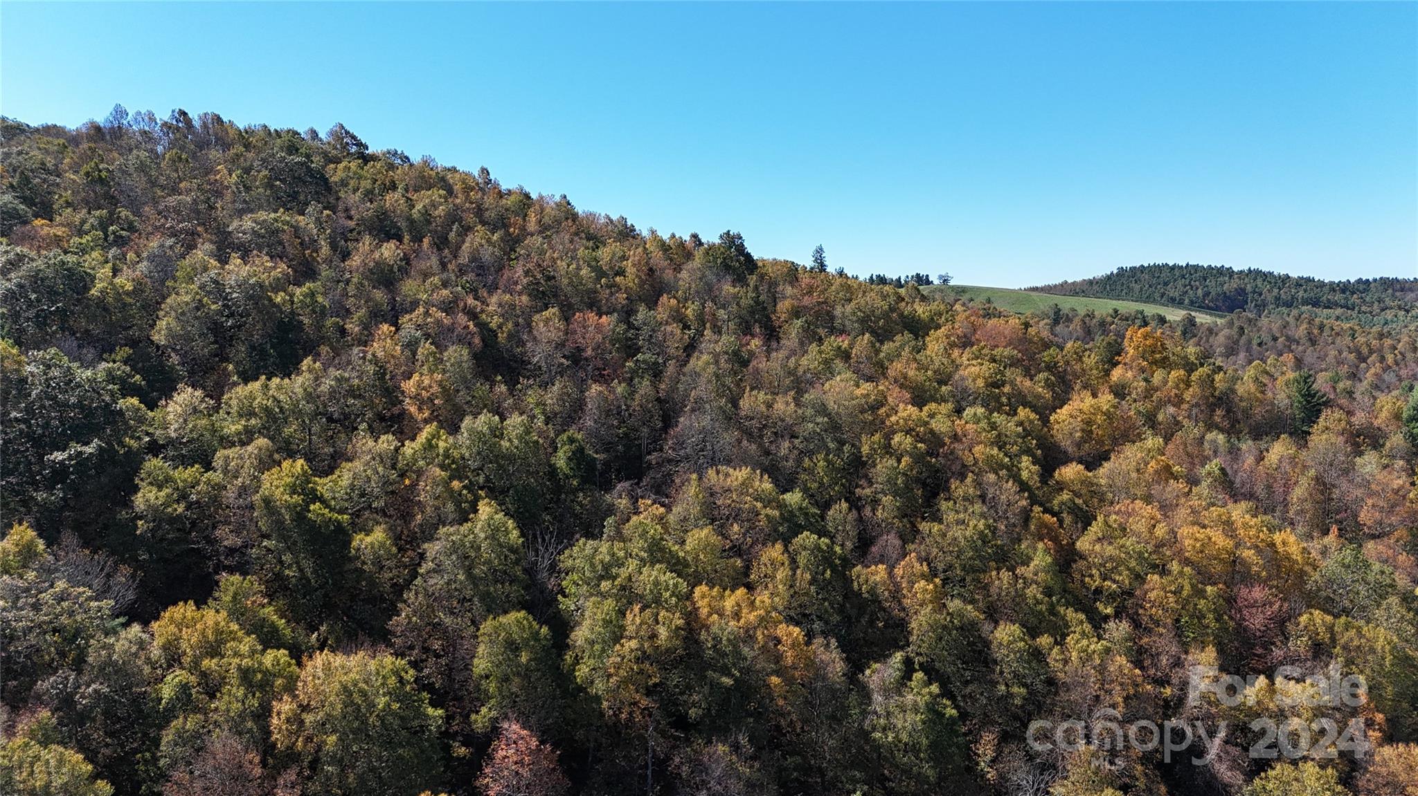 Tbd V L Moretz Road Deep Gap, NC 28618 - Photo 4 of 24