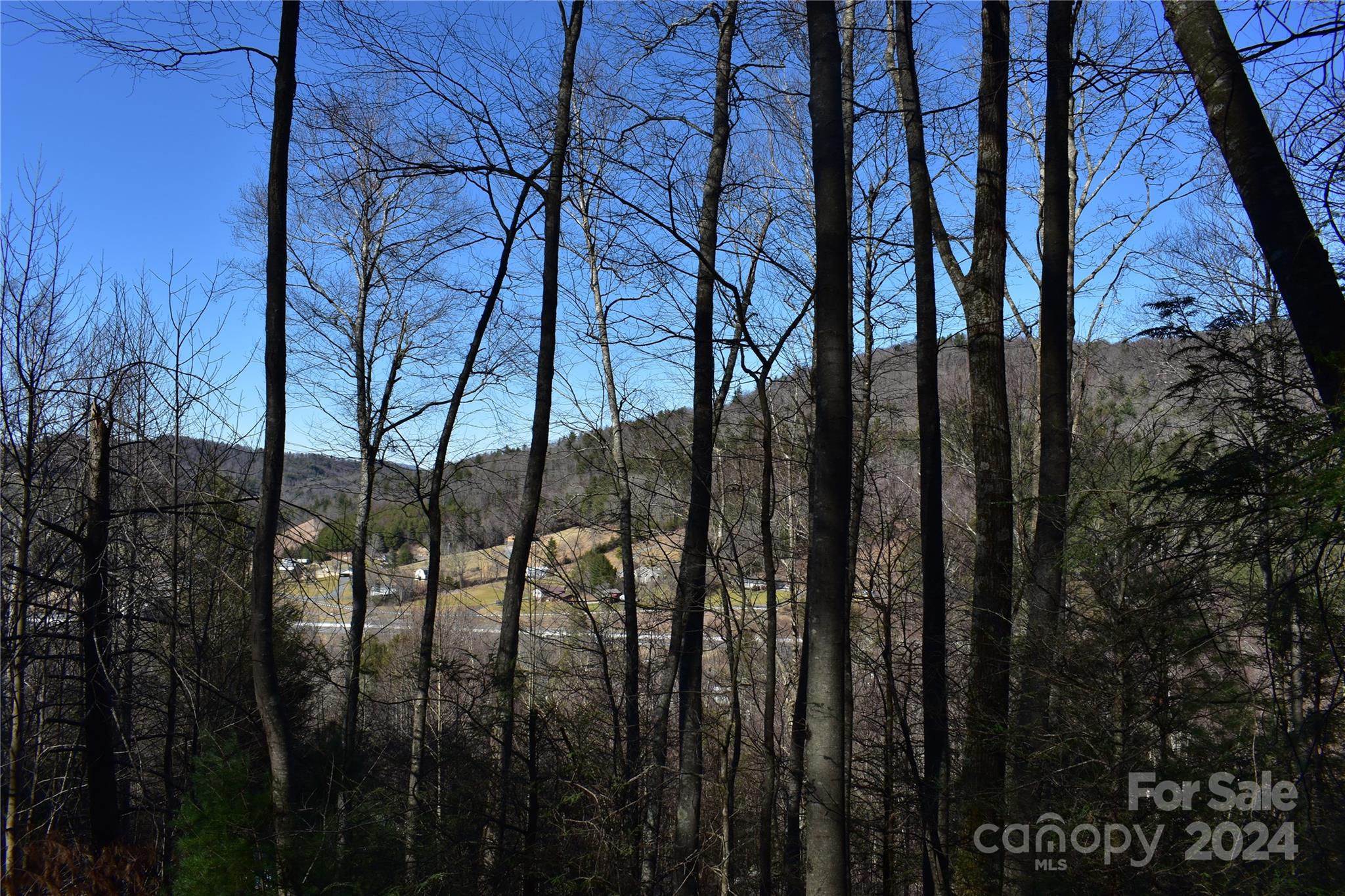 Tbd V L Moretz Road Deep Gap, NC 28618 - Photo 6 of 24
