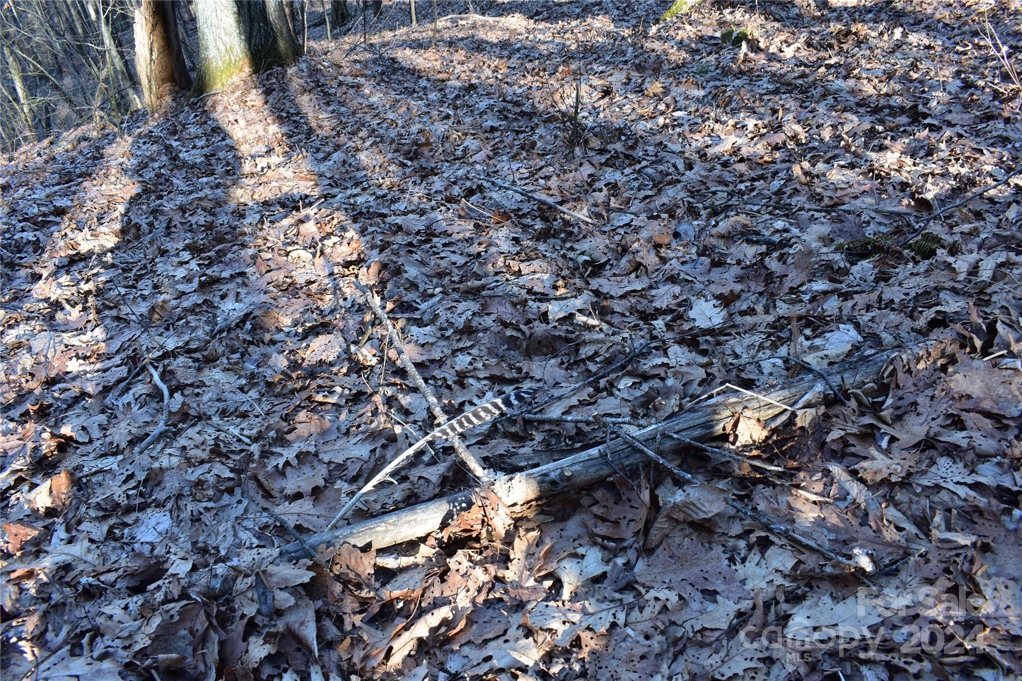 Tbd V L Moretz Road Deep Gap, NC 28618 - Photo 7 of 24