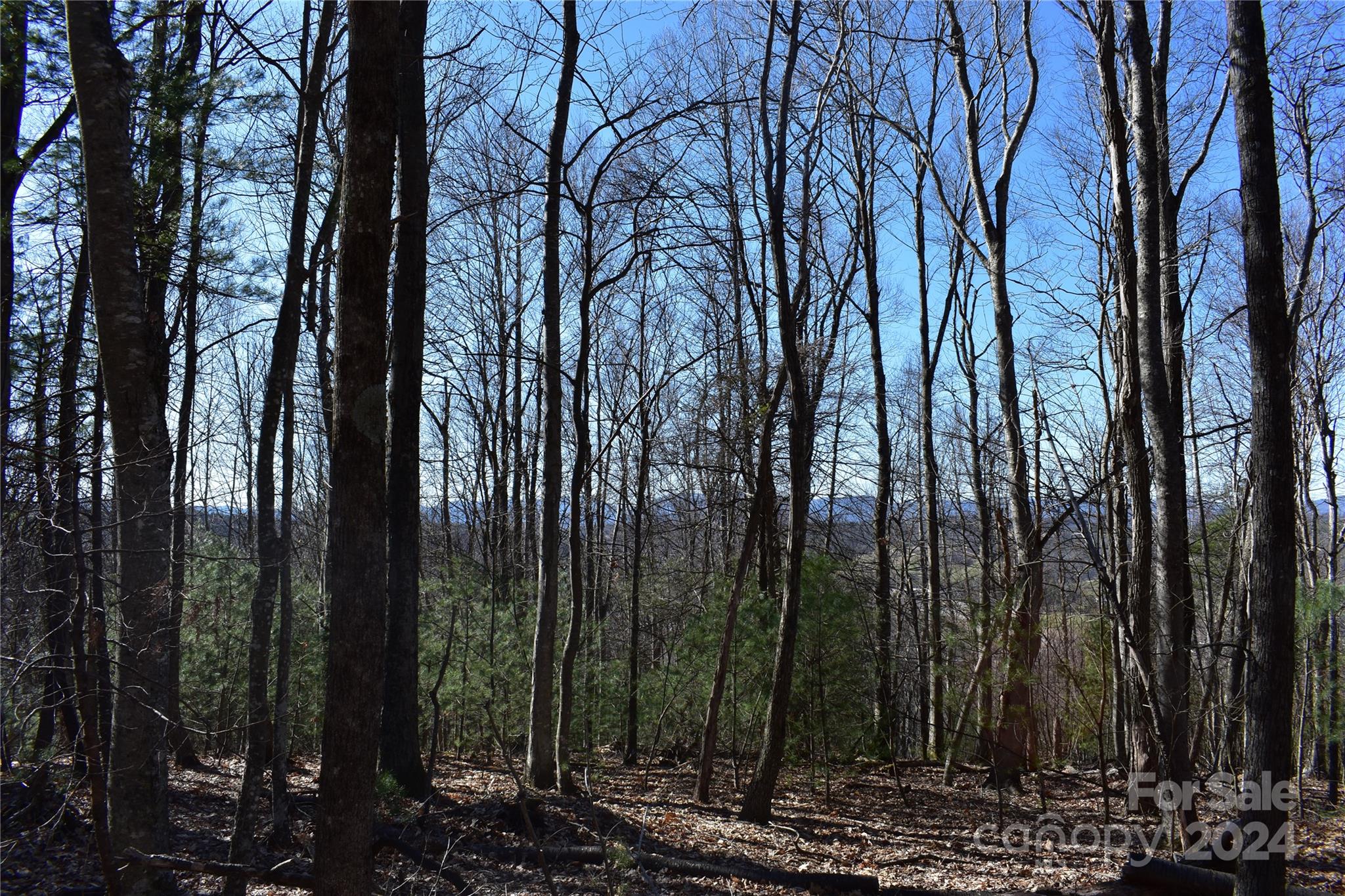 Tbd V L Moretz Road Deep Gap, NC 28618 - Photo 10 of 24